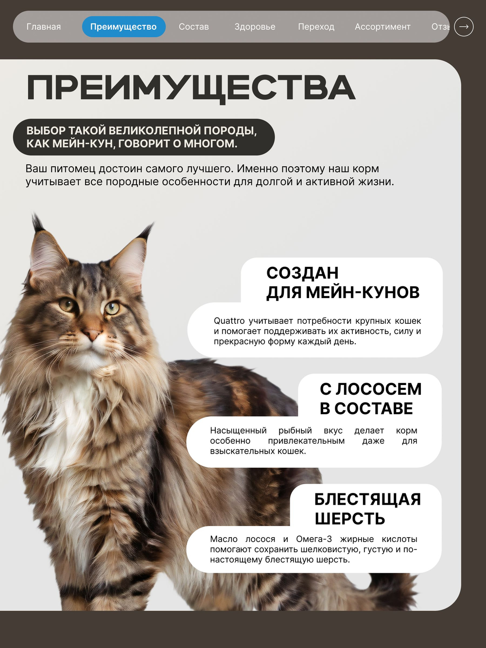 Корм сухой для взрослых кошек породы Мейн-кун, с лососем, 2 кг, QUATTRO