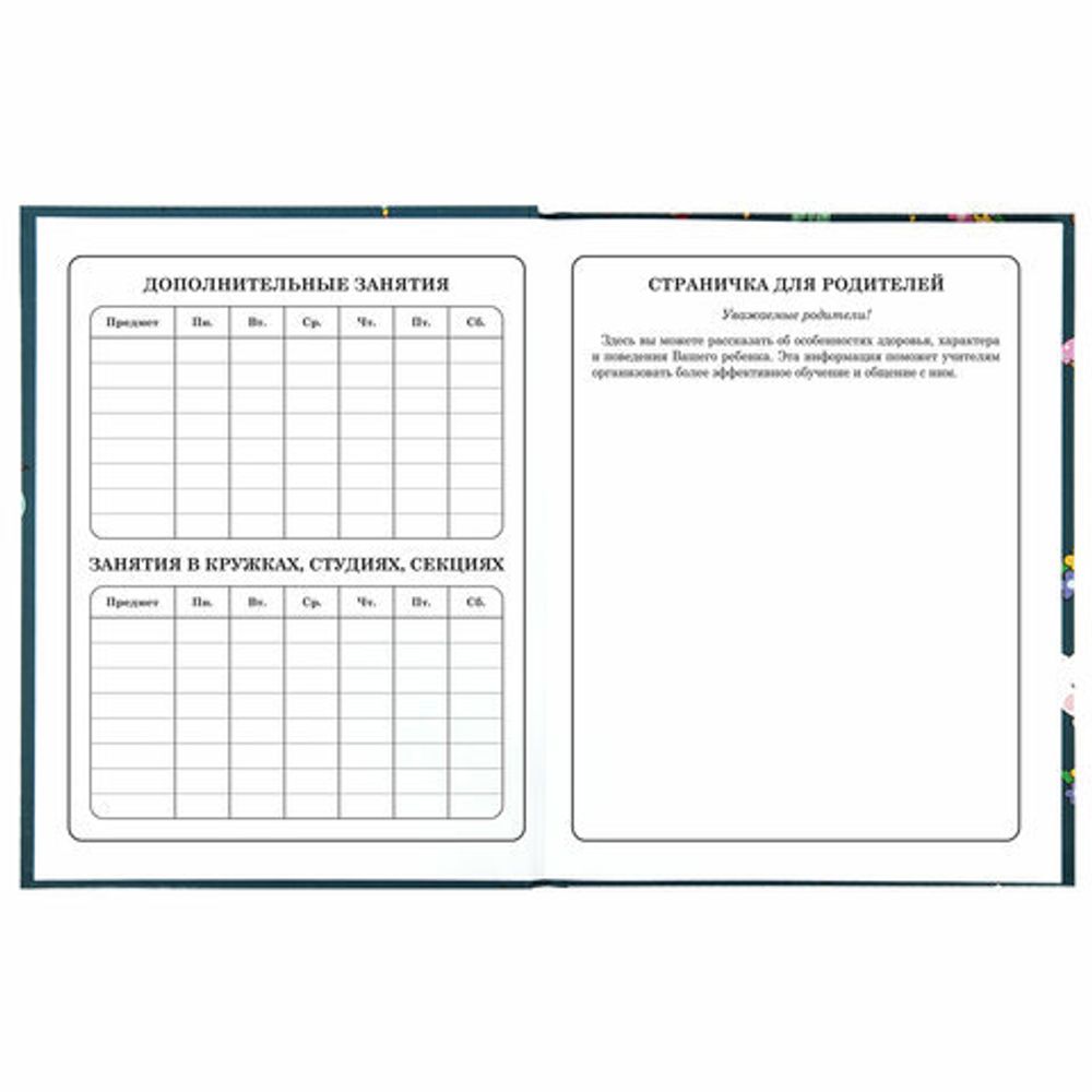 Дневник 1-4 класс 48 л., твердый, ЮНЛАНДИЯ, глянцевая ламинация, с подсказом, "Kittycorn", 106346