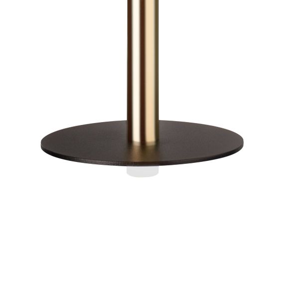 Подвесной светодиодный светильник Loft IT Reed 10358/830 Disk AB