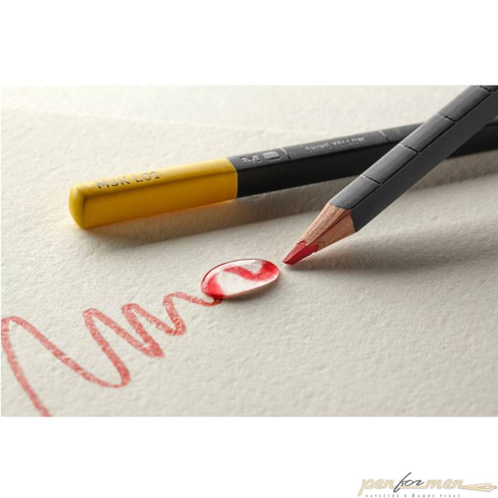 Карандаши цветные акварельные Moleskine Watercolour 12 штук (EW7P12COLA)