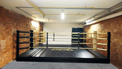 Ринг боксерский TARGEX на помосте высотой 0,3 м