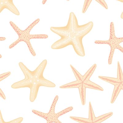 Морская звезда