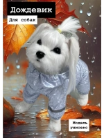 Дождевик для собак, водонепроницаемый