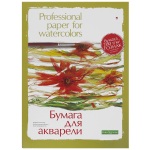 Папка для акварели А3 8л. 2 вида (Альт)
