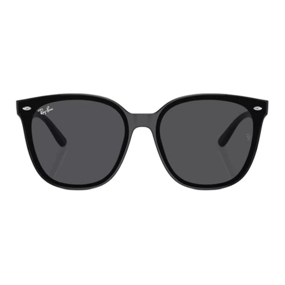 Очки RayBan Logo 1/ 2/ 3/ /, 0RB4423D
