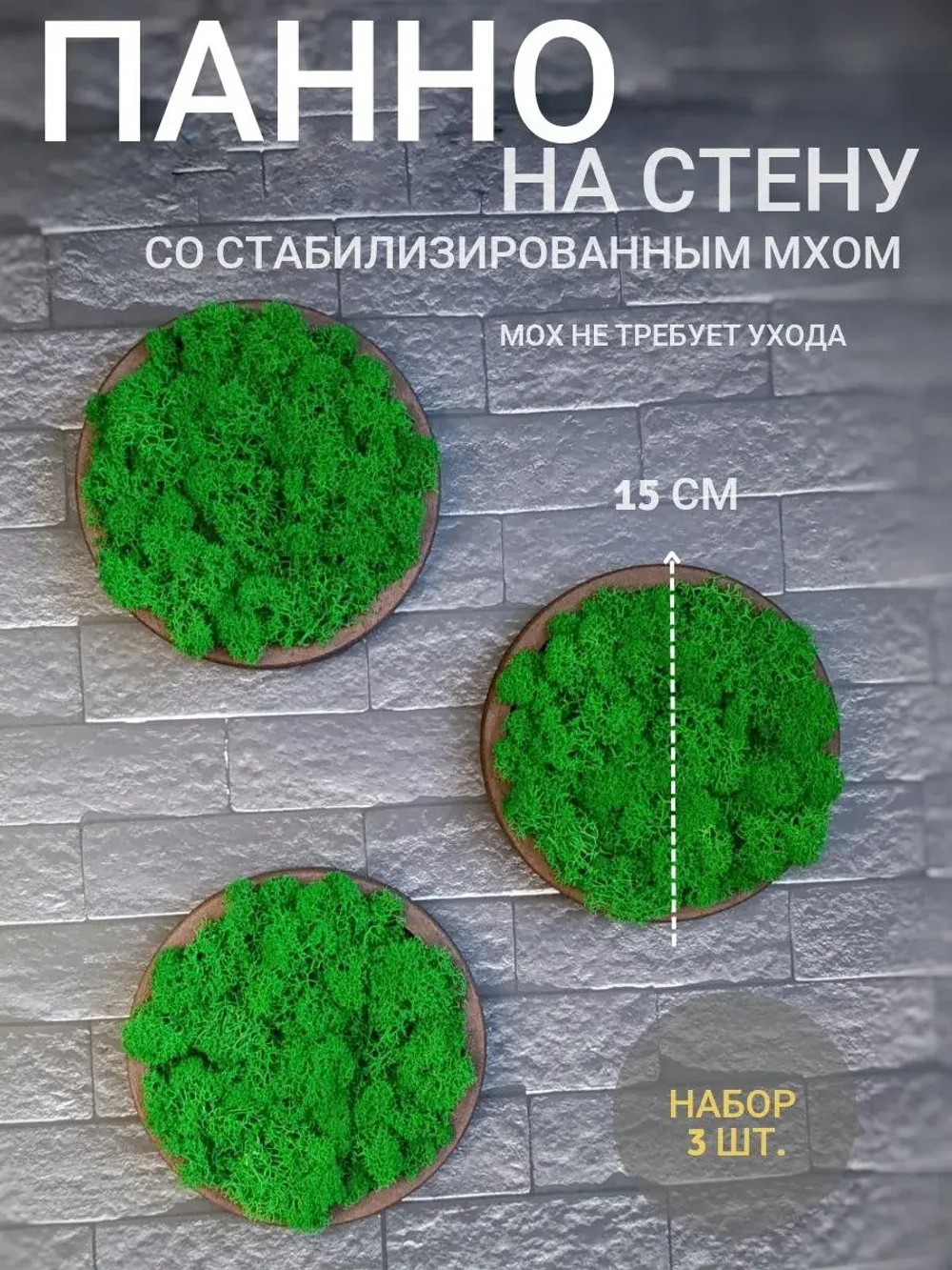 Панно из мха набор 3 шт.