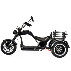 Электроскутер Skyboard CITYCOCO Dnepr Chopper 4000w