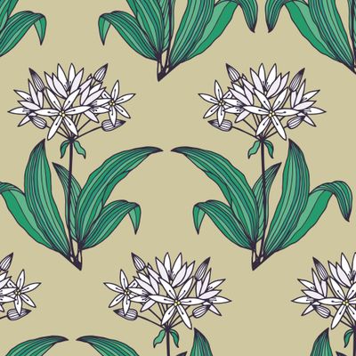 Seamless pattern of flowers and leaves of ramsons, bear onions.