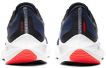 Кроссовки Nike Zoom Winflo 7