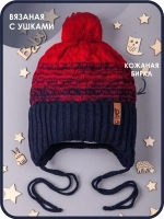 Шапка для мальчика осенняя на завязках
