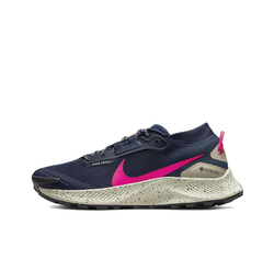 Мужские кроссовки Nike Pegasus Trail 3 Gore-tex 'Navy' DC8793-401