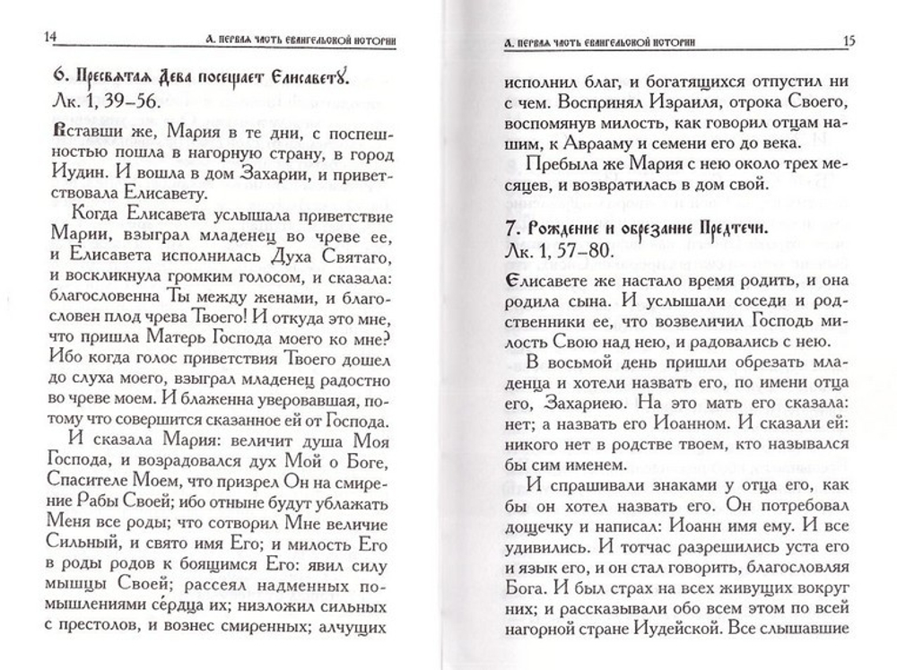 Евангельская история о Боге Сыне. Святитель Феофан Затворник