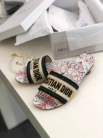Christian Dior Dway Slide