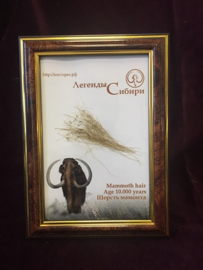 Шерсть мамонта, натуральная, в фоторамке