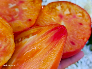 Золотые горы Медео сорт томата