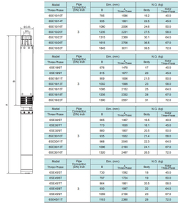 Погружной скважинный насос серии 6SE-T(K2) , Shimge
