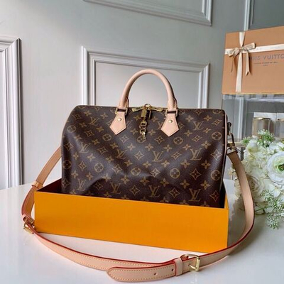 Louis Vuitton Speedy 35