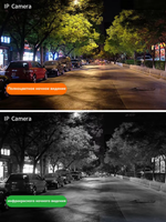 Wi-Fi 4G Камера видеонаблюдения IR-CUT /TFcard RoHS P40-4G