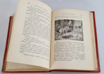 "Из жизни русской природы. Зоологические очерки и рассказы". М.Н.Богданов. 1889г. - антикварное издание