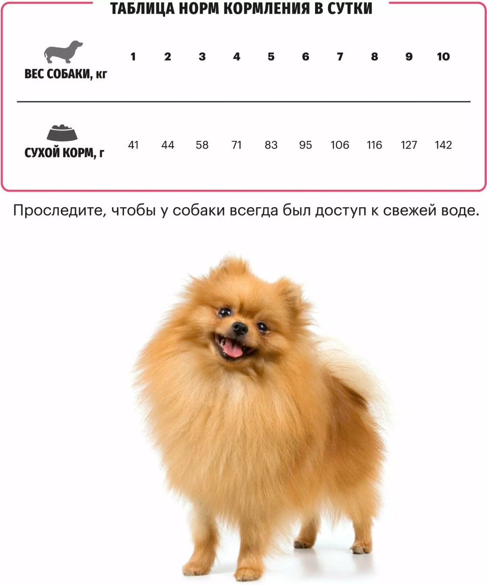 Karmy Mini Sensitive Сухой корм для взрослых собак мини пород c чувствительным пищеварением с Лососем, 2 кг
