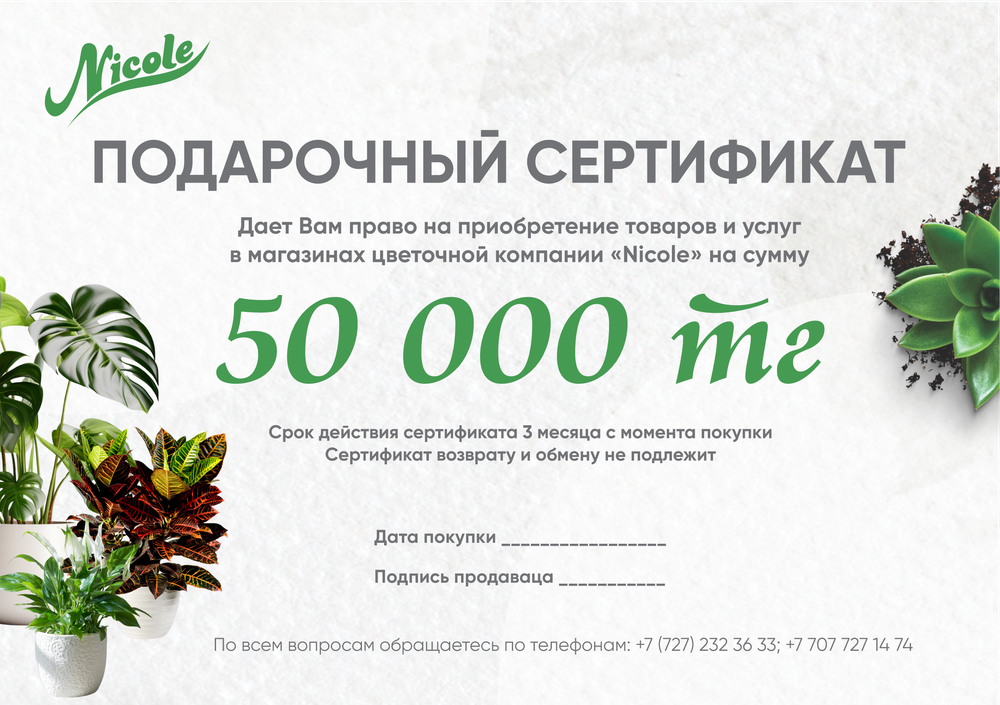 Подарочный сертификат на 50 000 тг