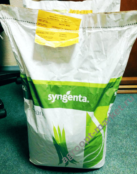 Серенгети семена фасоли (Syngenta / Сингента) – фото 2