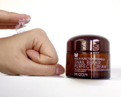 Mizon Snail Repair Perfect Cream омолаживающий питательный улиточный крем