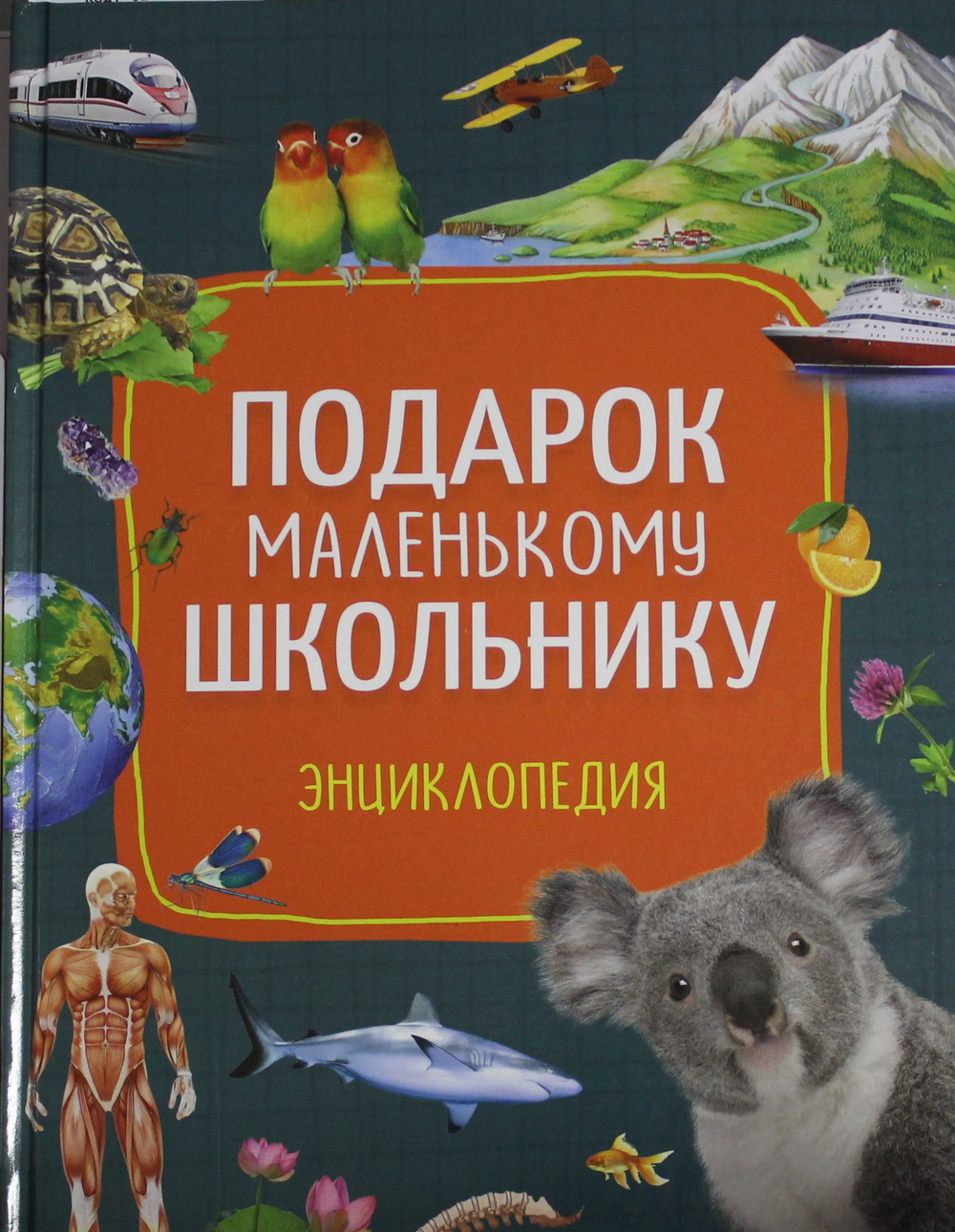 Подарок маленькому школьнику. Энциклопедия