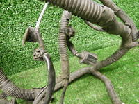 Жгут проводов Subaru Forester SJ 4 (2012-2019)