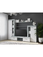 Стенка в гостиную со шкафом 264,8х45,6х187,4 см