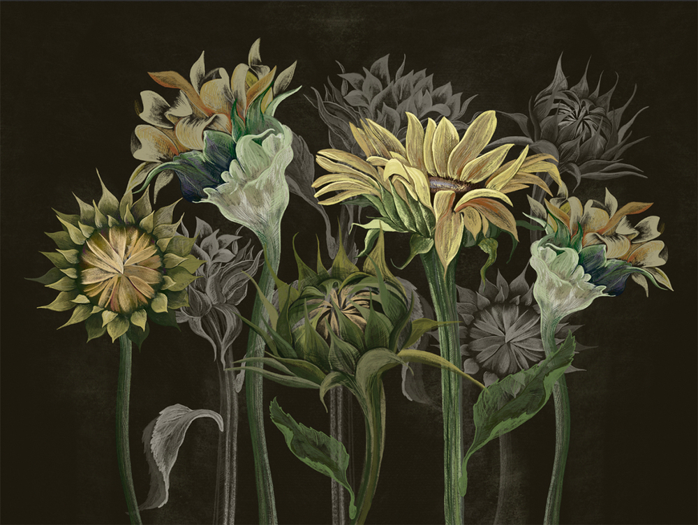 Коллекция SUMMERTIME