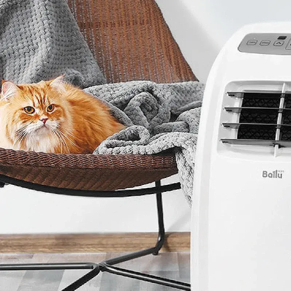 Ballu BPAC-07 CP_22Y мобильный кондиционер НС-1411473