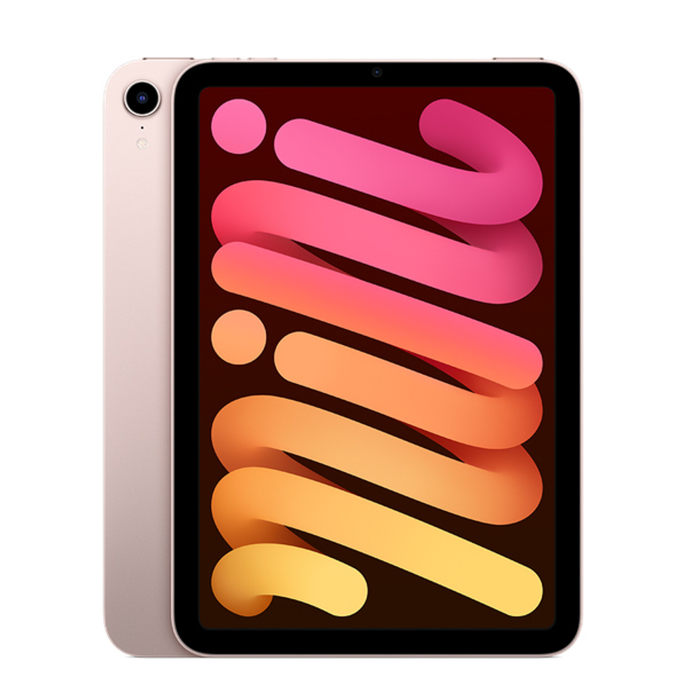 iPad mini Wi-Fi 256Гб