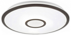 Накладной светильник Citilux CL703A65G