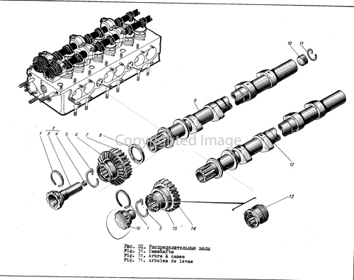 Шестерня распредвала впуска Сб.307-03-1