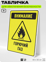 Табличка для обеспечения безопасности "Внимание горючий газ", для производства, предприятия, организаций, 40х30 см, Silver Plane x Айдентика Технолоджи