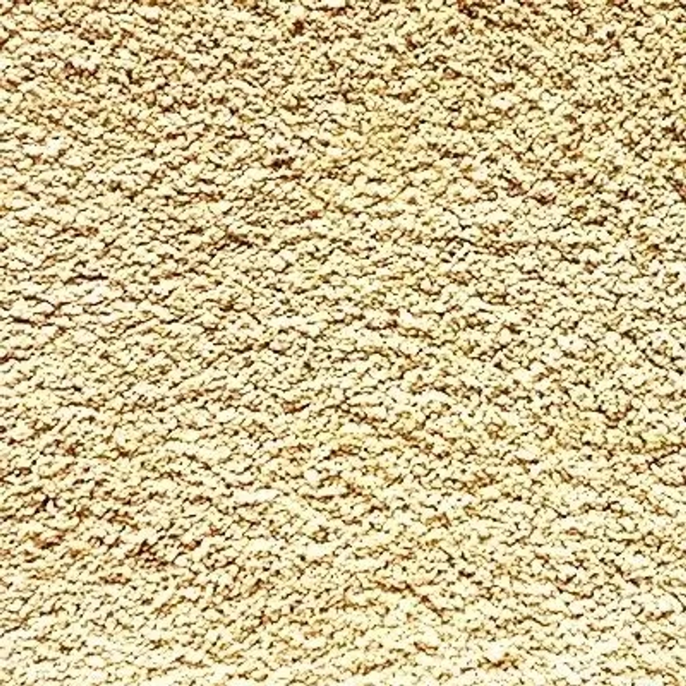 Ковровое покрытие Shaw Floors Cashmere IV 200