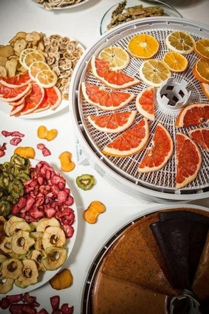 Сушилка для фруктов и овощей EZIDRI (Изидри) Snackmaker FD500 Digital