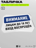 Табличка для частной территории "Внимание, лицам до 18 лет вход воспрещен", на дом, для участка, организаций и частных территорий, предупреждающая, 40х30 см, Silver Plane x Айдентика Технолоджи
