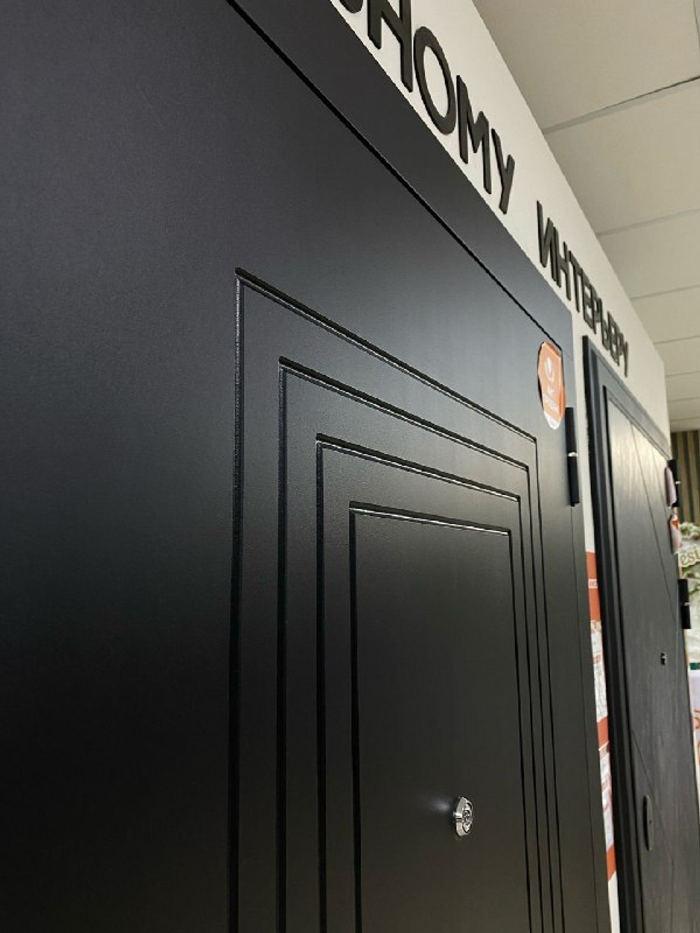 Дверь входная Сидней