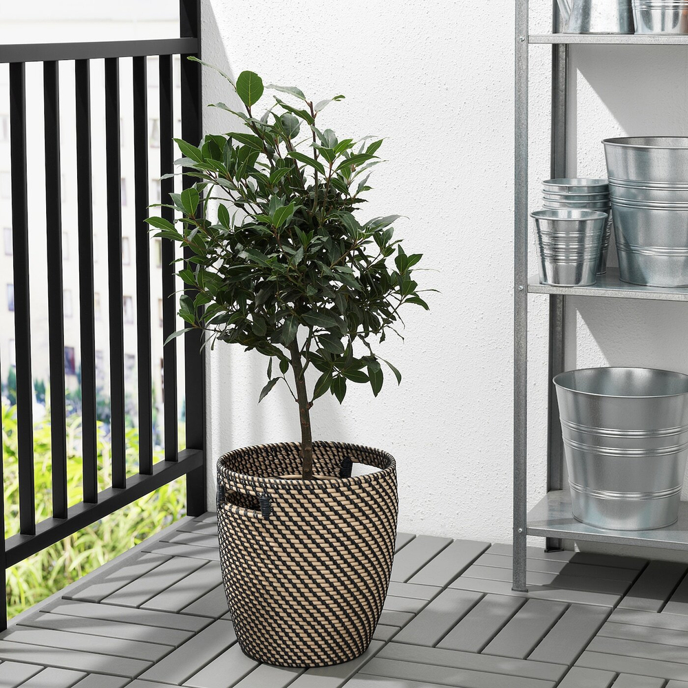 IKEA RÅGKORN  (ИКЕА РÅГКОРН)  -  Крышка для цветочного горшка, крытый/открытый, темно-серый/бежевый, 24 см