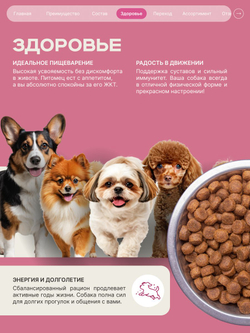Корм сухой для взрослых собак породы Пекинес, с говядиной, 800 гр, QUATTRO
