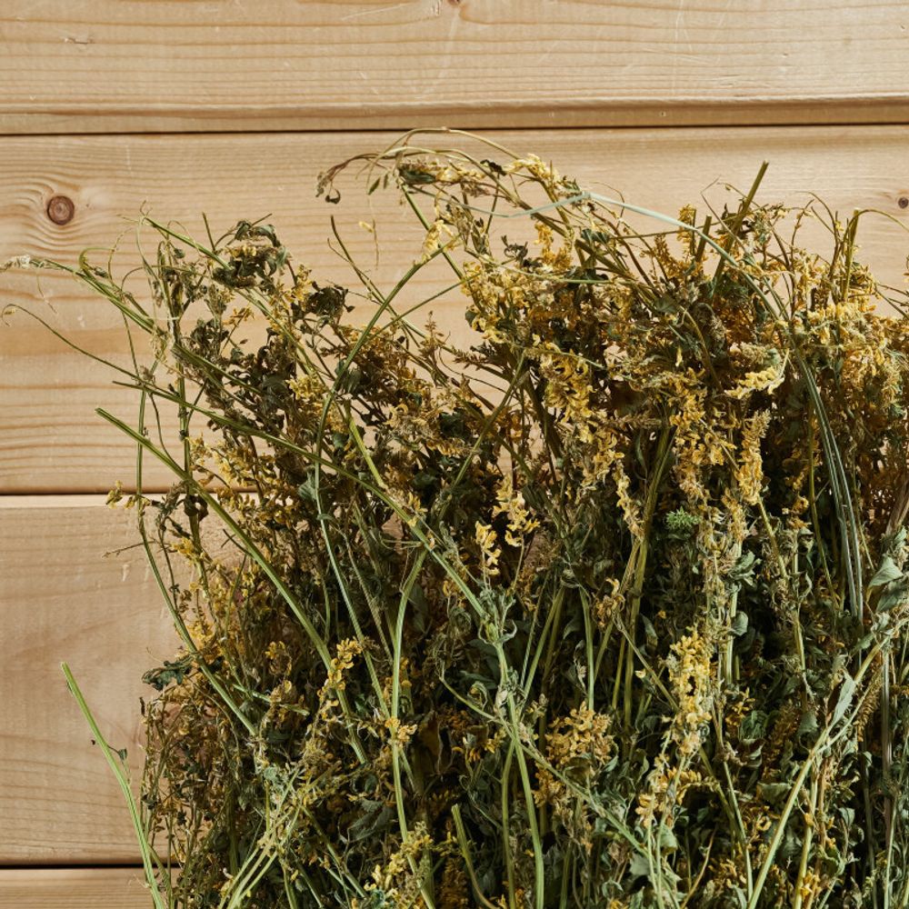 Донник букет_4.jpg