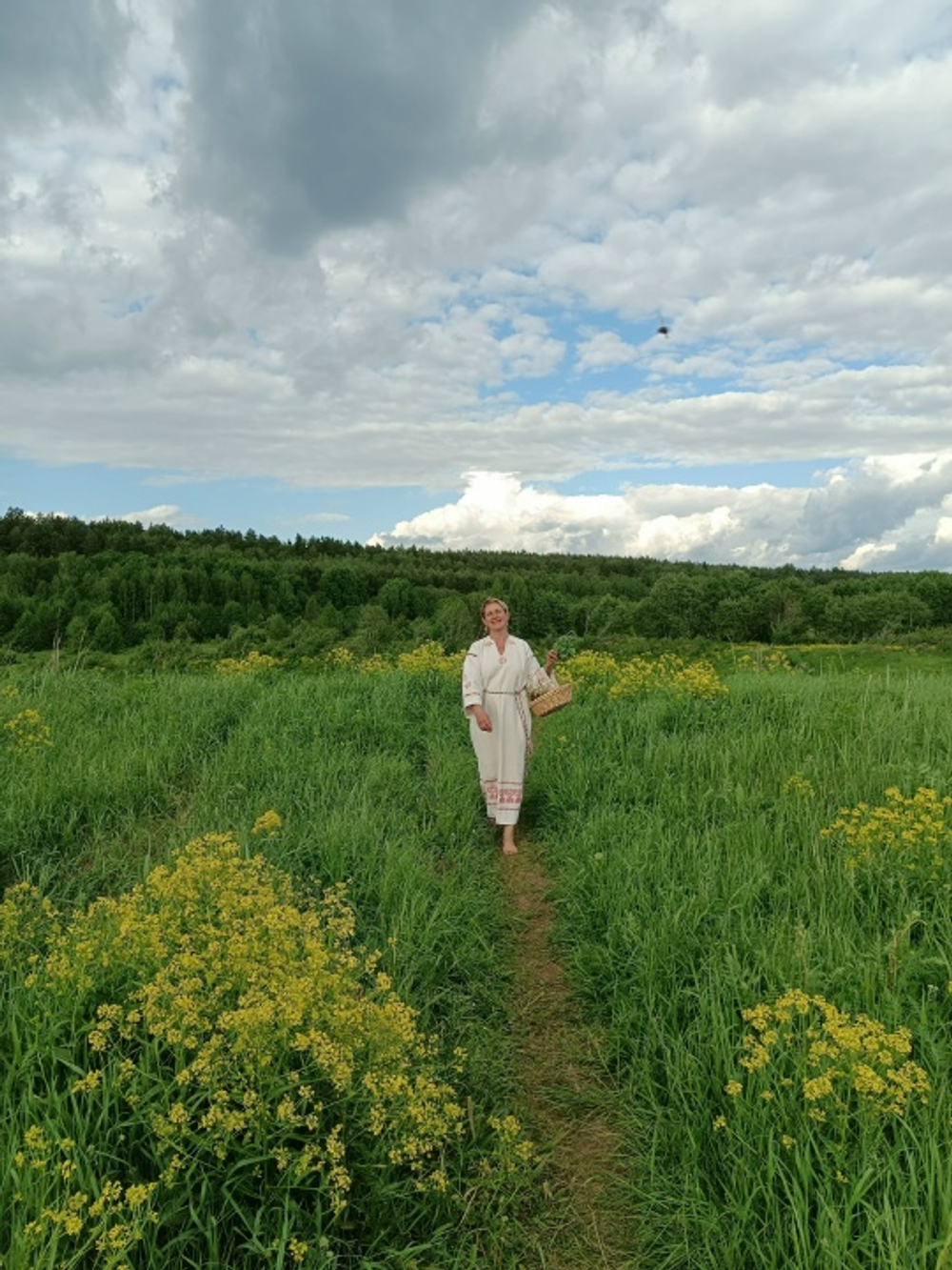 Три Силы 50 гр.