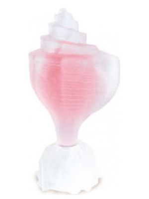 Seajewels Pink Conch