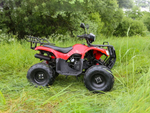 Квадроцикл ARMADA ATV 150L