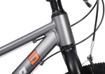 Maxiscoo 5BIKE 24'' M200 (2025)