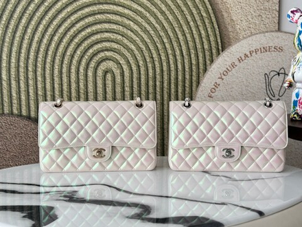 Chanel Bag 25 cm (2 variants)