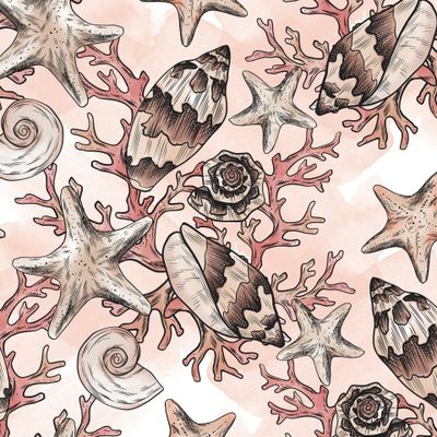 Ракушки, кораллы и морские звезды