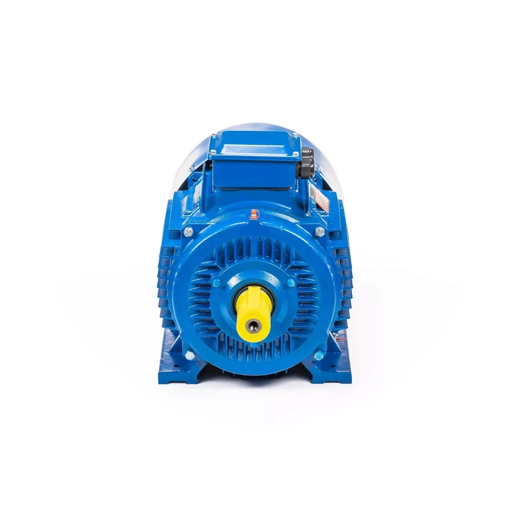 Электродвигатель 5АИ 200 L2 45/3000 IM1001